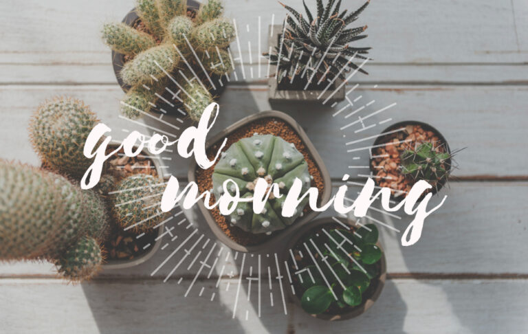Good Morning Tuesday | The Secret to Conquering Your Midweek Goals